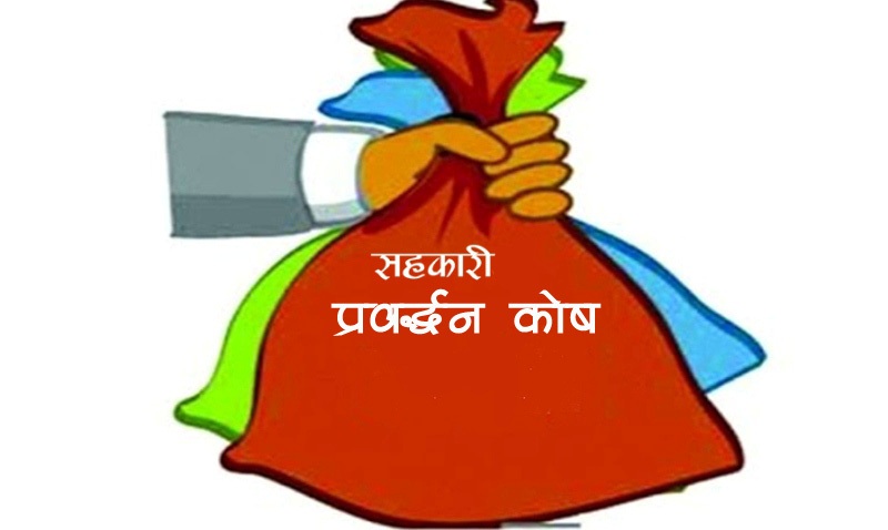 कोषमा रकम जम्मा गर्ने म्याद भोली सम्म, नगरे के हुन्छ ?